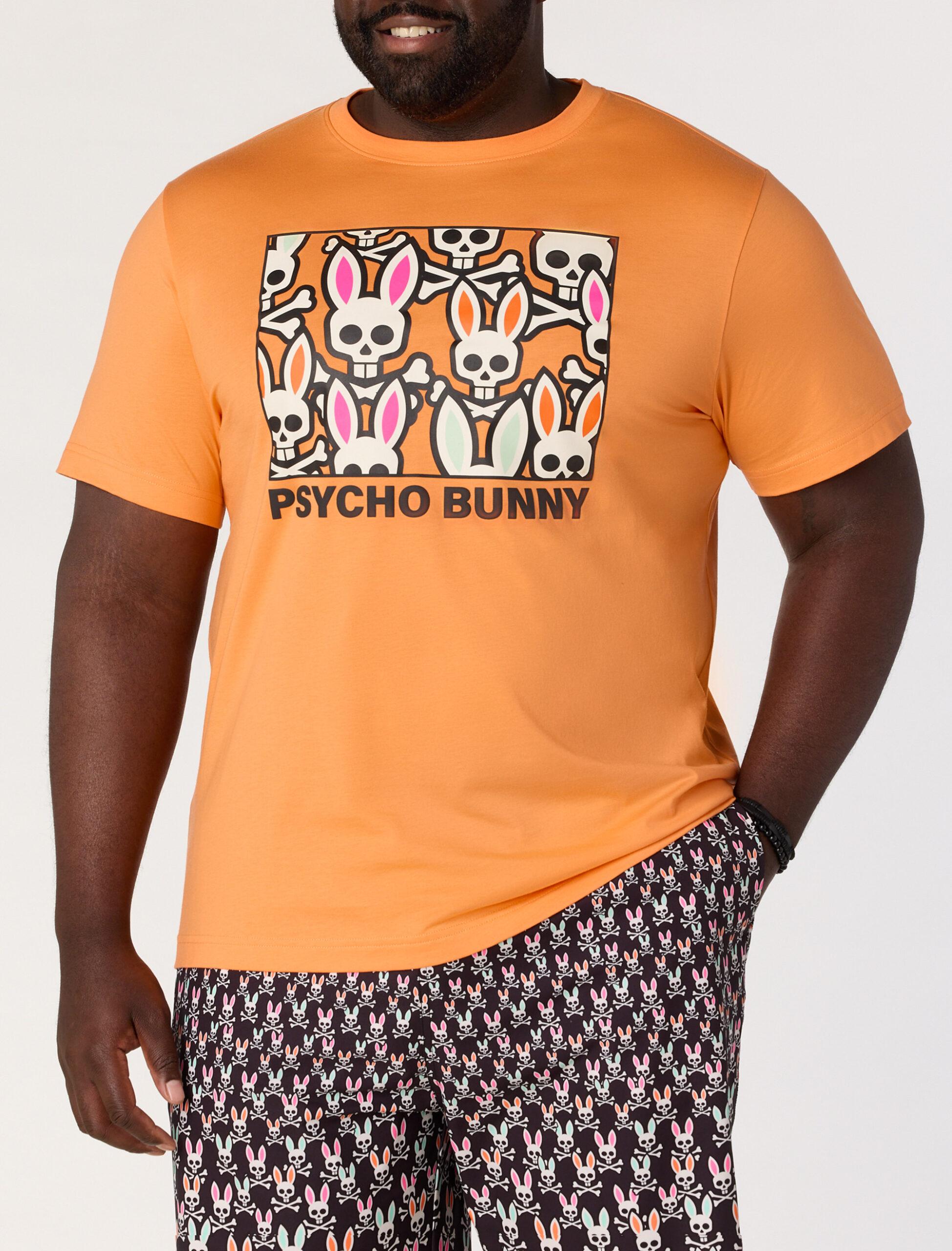 pN4702orange