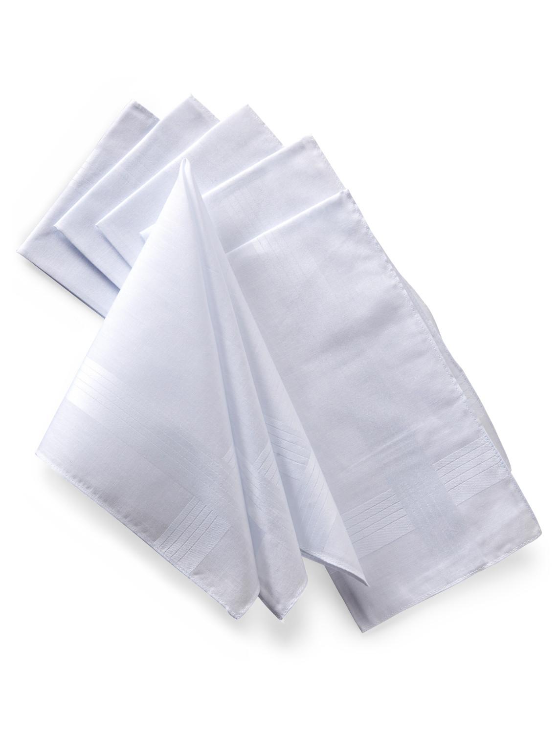 pP2790white