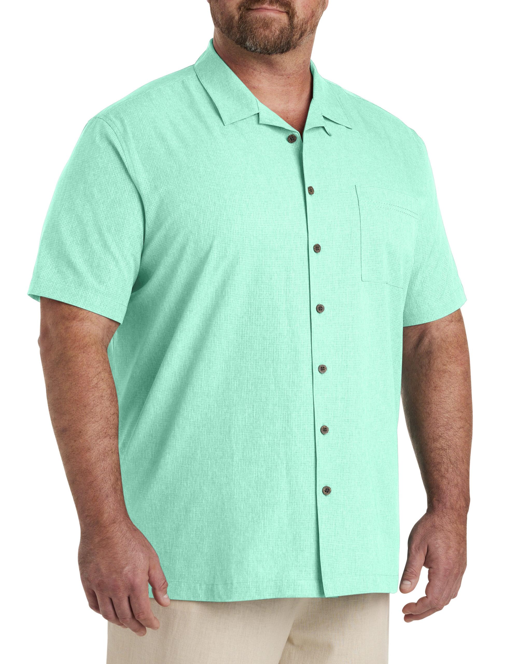 pP3434cabbage_green