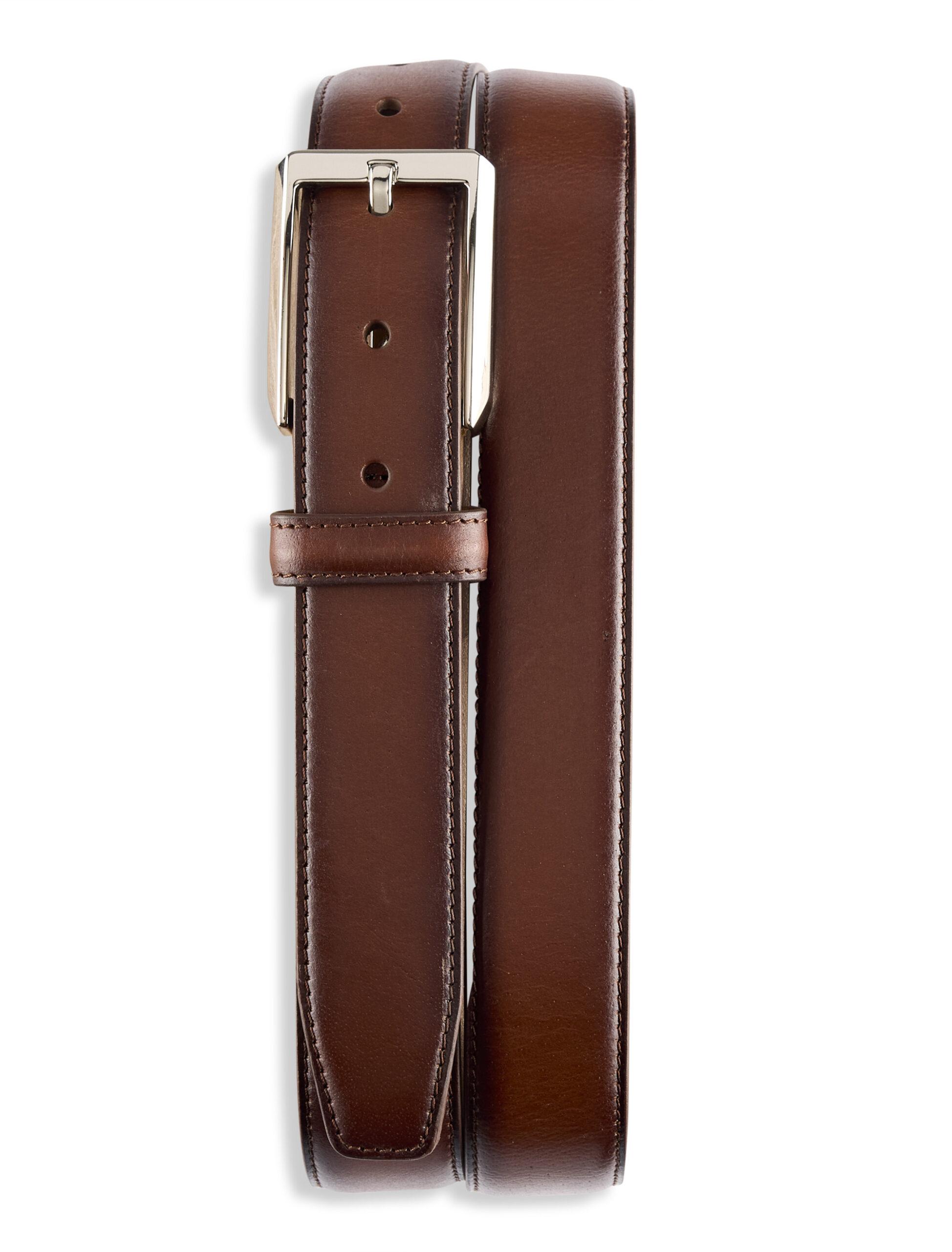 pP4154brown