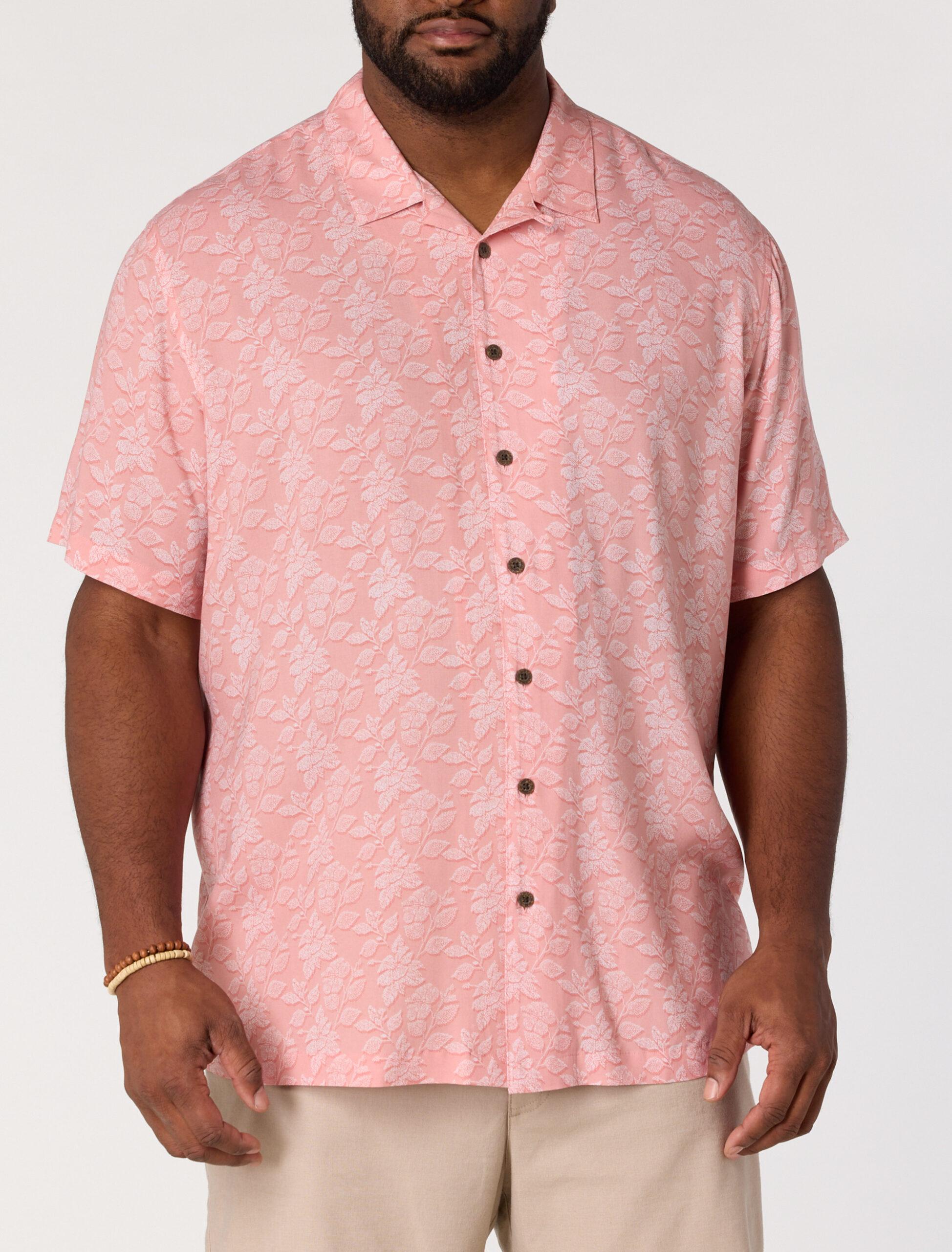 pP5343peach_white